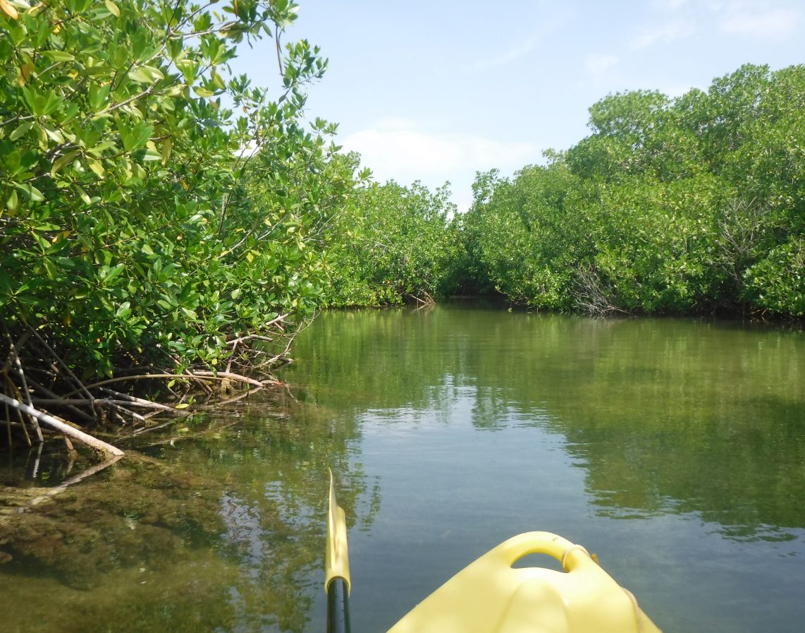 Island tours Bonaire